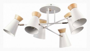 Потолочная люстра EVOLUCE Alfeo SLE1252-502-06 в Невьянске - nevyansk.mebel24.online | фото 2