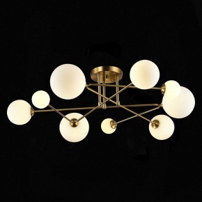 Потолочная люстра EVOLUCE Fantini SLE2211-302-09 в Невьянске - nevyansk.mebel24.online | фото 4