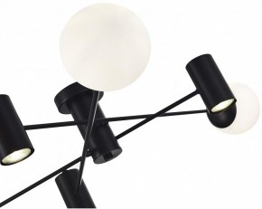 Потолочная люстра EVOLUCE Raito SLE1105-402-06 в Невьянске - nevyansk.mebel24.online | фото 3