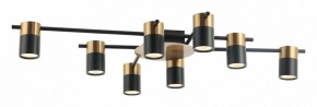 Потолочная люстра Favourite Topper 2825-8P в Невьянске - nevyansk.mebel24.online | фото 2