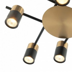 Потолочная люстра Favourite Topper 2825-8P в Невьянске - nevyansk.mebel24.online | фото 3