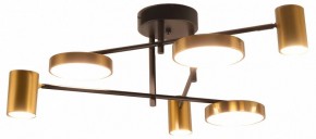 Потолочная люстра Kink Light Рапис 07645-6D,19(20) в Невьянске - nevyansk.mebel24.online | фото