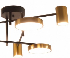 Потолочная люстра Kink Light Рапис 07645-6D,19(20) в Невьянске - nevyansk.mebel24.online | фото 2