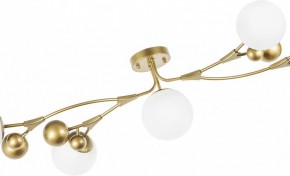 Потолочная люстра Lightstar Croco 815553 в Невьянске - nevyansk.mebel24.online | фото 6