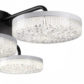 Потолочная люстра Lumion Didana 8236/4CL в Невьянске - nevyansk.mebel24.online | фото 7