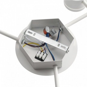 Потолочная люстра Lumion Gareta 8235/9C в Невьянске - nevyansk.mebel24.online | фото 6