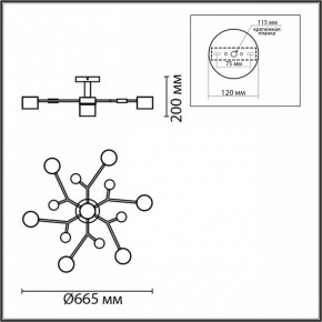 Потолочная люстра Lumion Rondo 8195/7C в Невьянске - nevyansk.mebel24.online | фото 5