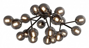 Потолочная люстра Maytoni Dallas MOD545CL-20B в Невьянске - nevyansk.mebel24.online | фото 2