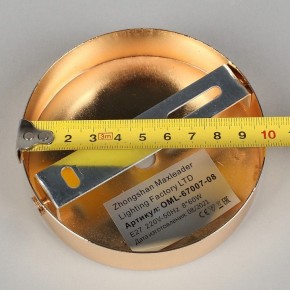 Потолочная люстра Omnilux Acuto OML-67007-08 в Невьянске - nevyansk.mebel24.online | фото 8