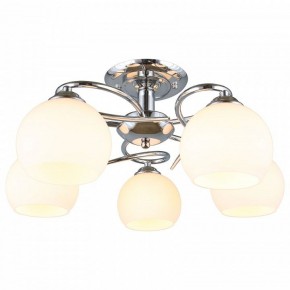 Потолочная люстра Omnilux Casoria OML-25107-05 в Невьянске - nevyansk.mebel24.online | фото 2