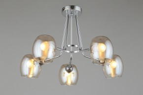 Потолочная люстра Omnilux Tesero OML-27307-05 в Невьянске - nevyansk.mebel24.online | фото 6