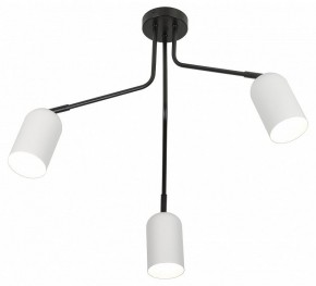 Потолочная люстра Rivoli Rosalinda Б0064987 в Невьянске - nevyansk.mebel24.online | фото 4