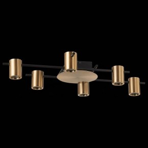 Потолочная люстра ST-Luce Veroli SL1207.402.06 в Невьянске - nevyansk.mebel24.online | фото 2