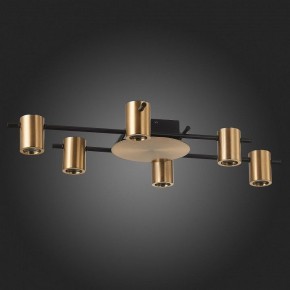 Потолочная люстра ST-Luce Veroli SL1207.402.06 в Невьянске - nevyansk.mebel24.online | фото 4