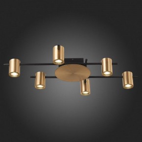 Потолочная люстра ST-Luce Veroli SL1207.402.06 в Невьянске - nevyansk.mebel24.online | фото 6
