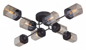 Потолочная люстра Vitaluce 4889 V4889-1/8PL в Невьянске - nevyansk.mebel24.online | фото