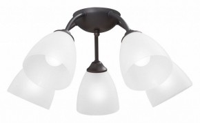 Потолочная люстра Vitaluce V3184 V3737-2/5PL в Невьянске - nevyansk.mebel24.online | фото