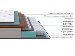 PROxSON Матрас Elysium Firm (Трикотаж Spiral-RT) 80x200 в Невьянске - nevyansk.mebel24.online | фото 2