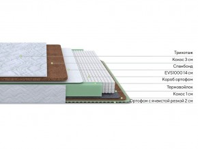 PROxSON Матрас Green Duo M/F (Tricotage Dream) 90x190 в Невьянске - nevyansk.mebel24.online | фото 3