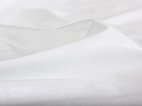 PROxSON Защитный чехол Aqua Save Plush S (Ткань влагостойкая Coral Fleece) 120x190 в Невьянске - nevyansk.mebel24.online | фото 6