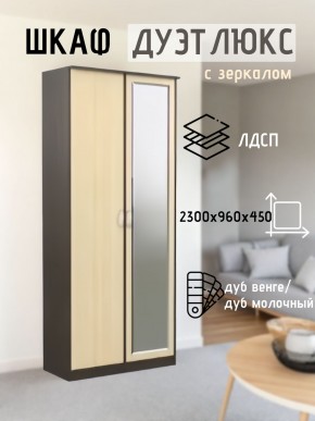 Шкаф 2-х створчатый Дуэт Люкс с зеркалом в Невьянске - nevyansk.mebel24.online | фото