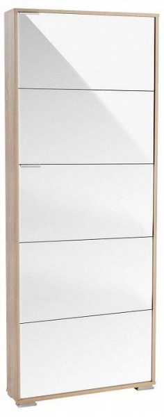 Шкаф для обуви Viva-5LW в Невьянске - nevyansk.mebel24.online | фото