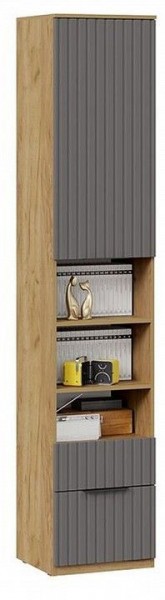 Шкаф комбинированный Хилтон Исп. 2 в Невьянске - nevyansk.mebel24.online | фото 4