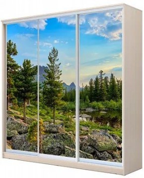 Шкаф-купе ХИТ 22-20-777 ПРИРОДА в Невьянске - nevyansk.mebel24.online | фото