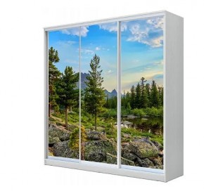 Шкаф-купе ХИТ 23-18-777 (620) в Невьянске - nevyansk.mebel24.online | фото