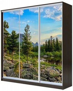 Шкаф-купе ХИТ 23-20-777 ПРИРОДА в Невьянске - nevyansk.mebel24.online | фото