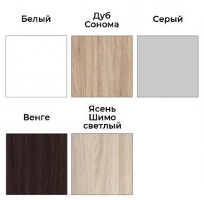 Шкаф-купе ХИТ 23-24/2-7777 (620) в Невьянске - nevyansk.mebel24.online | фото 2