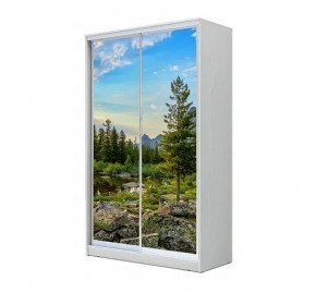 Шкаф-купе ХИТ 24-12/2-77 (620) в Невьянске - nevyansk.mebel24.online | фото 1