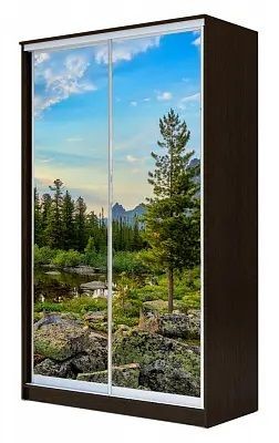 Шкаф-купе ХИТ 24-12/2-77 ПРИРОДА в Невьянске - nevyansk.mebel24.online | фото