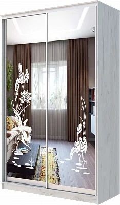 Шкаф-купе ХИТ 24-14-66 ЦАПЛИ в Невьянске - nevyansk.mebel24.online | фото