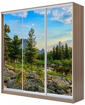 Шкаф-купе ХИТ 24-18-777 ПРИРОДА в Невьянске - nevyansk.mebel24.online | фото