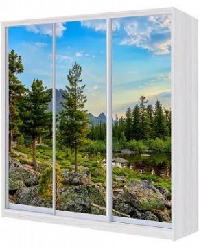 Шкаф-купе ХИТ 24-4-18-777 ПРИРОДА в Невьянске - nevyansk.mebel24.online | фото