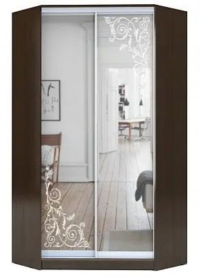 Шкаф-купе ХИТ-У-R-22-64-66 ОРНАМЕНТ в Невьянске - nevyansk.mebel24.online | фото