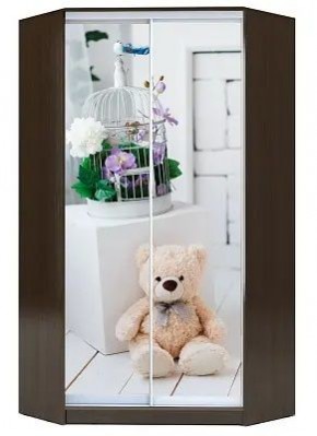 Шкаф-купе ХИТ-У-R-23-64-77 МИШКА В ИНТЕРЬЕРЕ в Невьянске - nevyansk.mebel24.online | фото