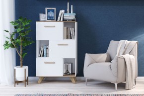 Шкаф низкий с нишами Вега Скандинавия в Невьянске - nevyansk.mebel24.online | фото 4