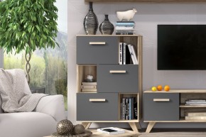Шкаф низкий с нишами Вега Скандинавия в Невьянске - nevyansk.mebel24.online | фото 6