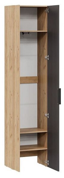Шкаф платяной Асти в Невьянске - nevyansk.mebel24.online | фото 2
