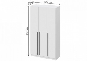 Шкаф платяной Бирма ШК-1200 в Невьянске - nevyansk.mebel24.online | фото 4