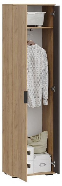 Шкаф платяной Эвита в Невьянске - nevyansk.mebel24.online | фото 3