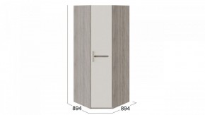 Шкаф платяной Фьюжн ТД-260.07.03 в Невьянске - nevyansk.mebel24.online | фото 3