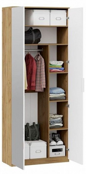 Шкаф платяной Хилтон Исп. 2 в Невьянске - nevyansk.mebel24.online | фото 4