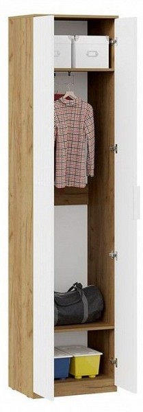 Шкаф платяной Хилтон Исп. 2 в Невьянске - nevyansk.mebel24.online | фото 3