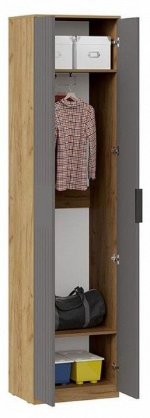 Шкаф платяной Хилтон Исп. 2 в Невьянске - nevyansk.mebel24.online | фото 3