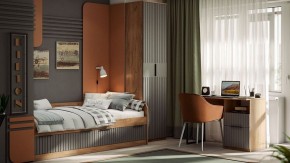 Шкаф платяной Хилтон Исп. 2 в Невьянске - nevyansk.mebel24.online | фото 5