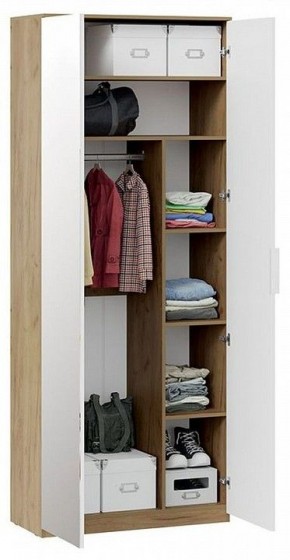 Шкаф платяной Хилтон Исп. 2.1 в Невьянске - nevyansk.mebel24.online | фото 4