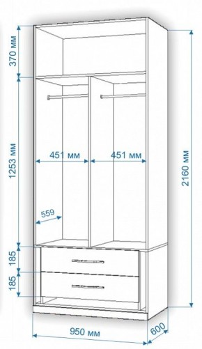 Шкаф платяной Нобиле Пл-95/60 в Невьянске - nevyansk.mebel24.online | фото 2